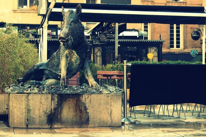 Boar fountain