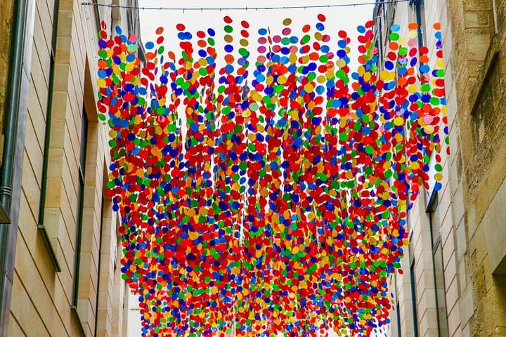 Explore Bordeaux's Art and Culture with a Local