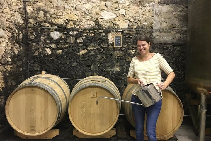 Private full day wine tour and Medieval Village from Montpellier
