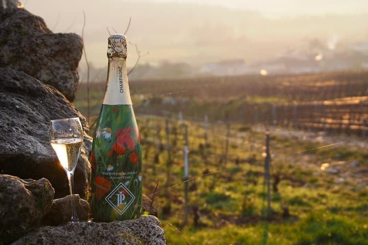 Vineyard Walking Tour & 2 Champagnes Tasting