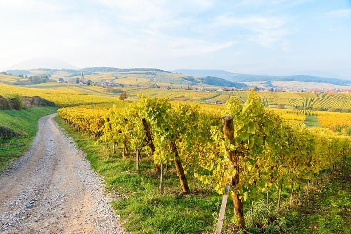 Alsace Local Villages Small Group Guided Tour from Strasbourg