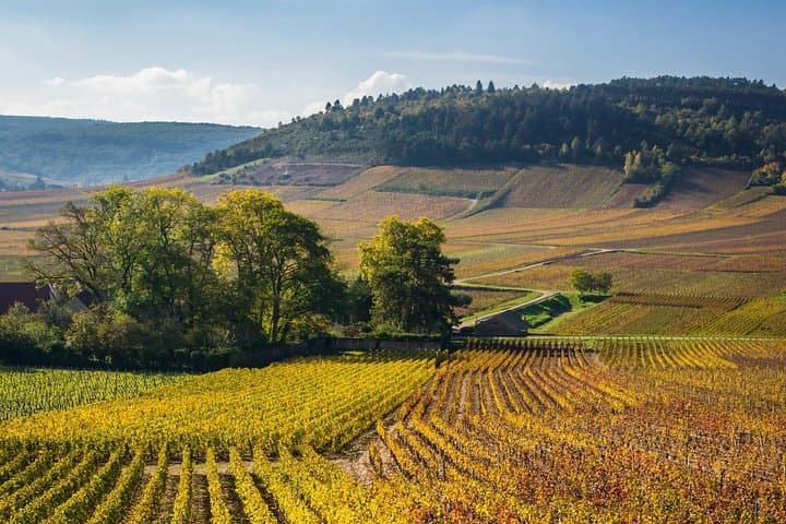 Alsace Local Villages Small Group Guided Tour from Strasbourg
