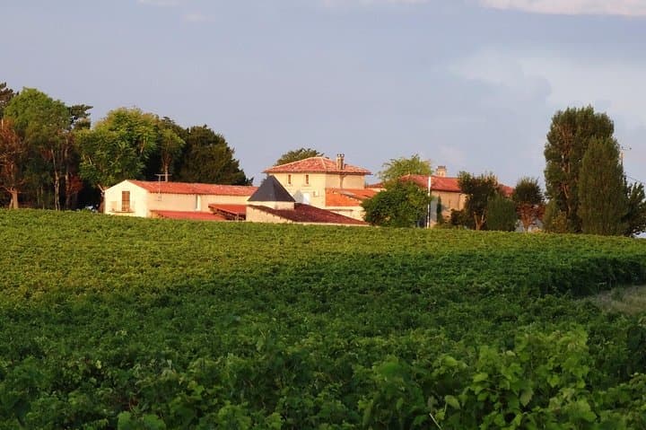 a traditional estate nestled in the vineyard of cognac