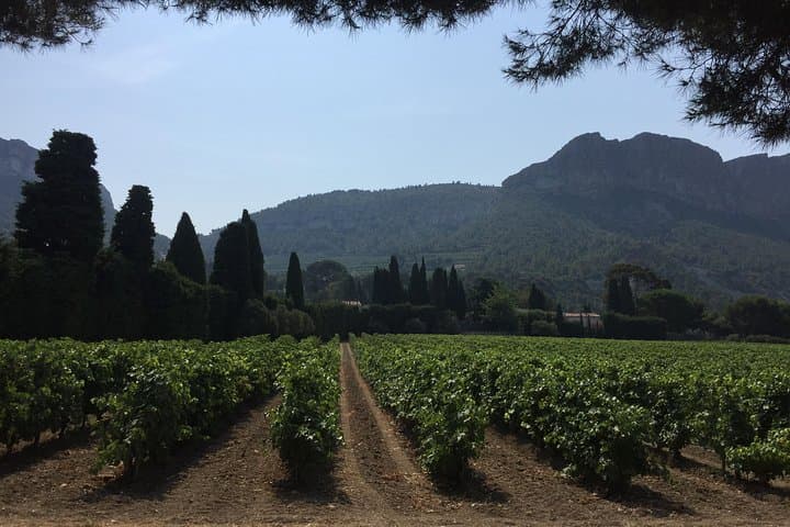 Heritage, wines and gastronomy - 3-day tour