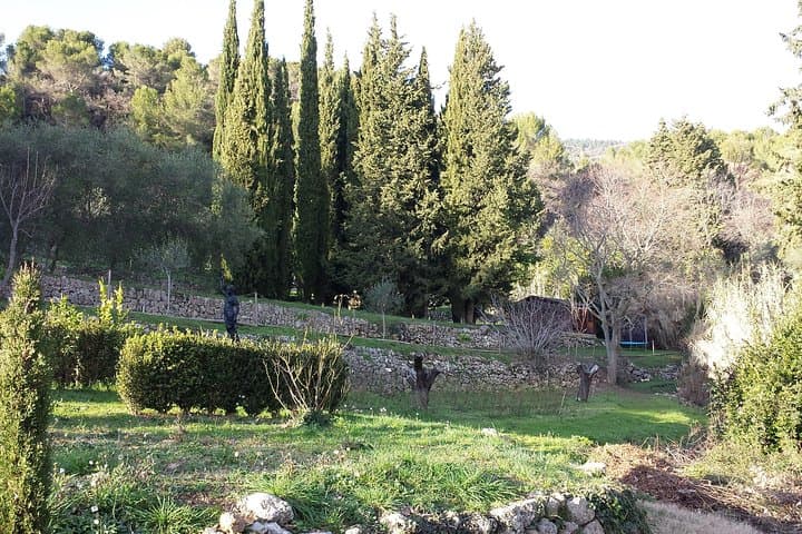 In the secret of perfumes and flowers-private tour full day-