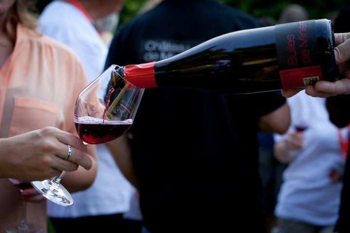 Bourgueil wine tasting
