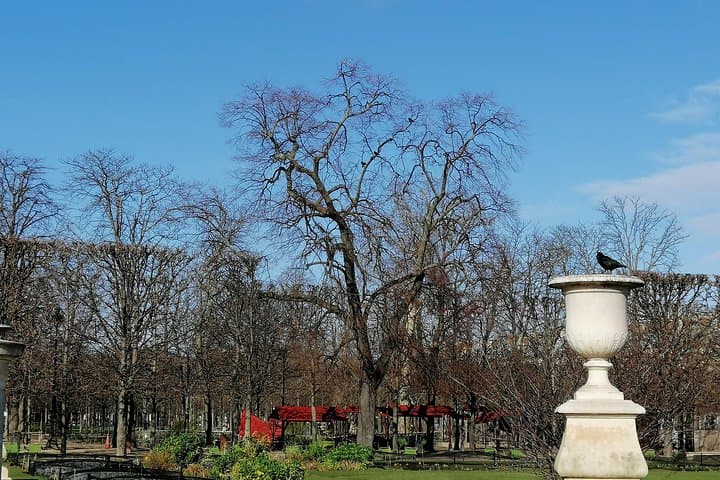 Jardin de Tuileries