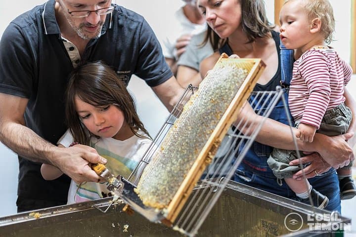 Have you ever uncapped a honey frame? Yum ...