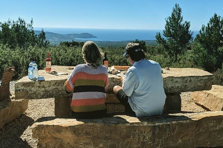 Full-Day Private Custom-Made Cannes Shore Excursion