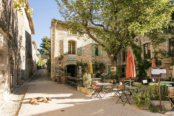 Full-day Private Provence and Verdon Canyon Tour from Nice