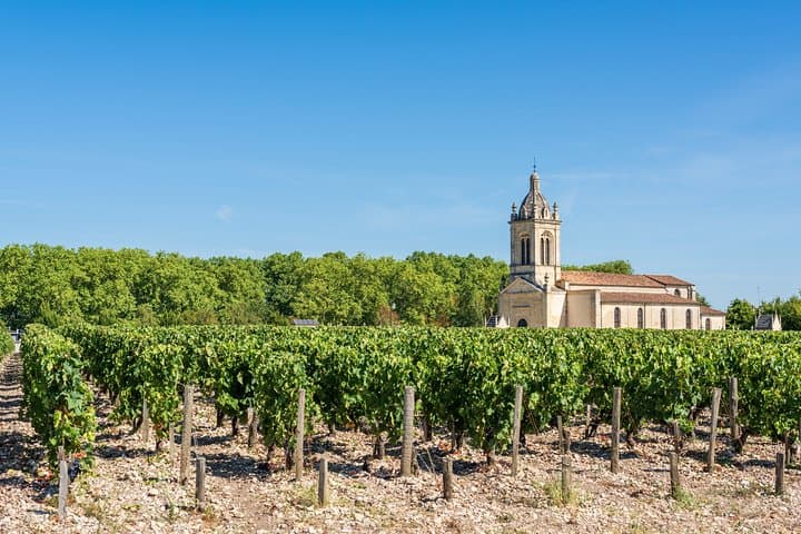 Private Médoc 4.5 hours Wine Tour in a Citroën 2CV from Bordeaux