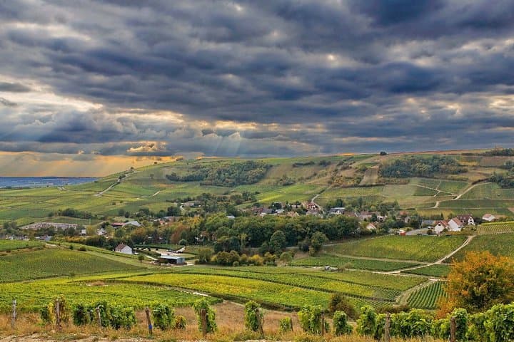 Private Full Day Tour to Loire Valley from Paris with Hotel Pick Up