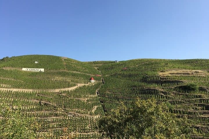 Cotes du Rhone Wine Tour - Private Tour - Full Day From Lyon