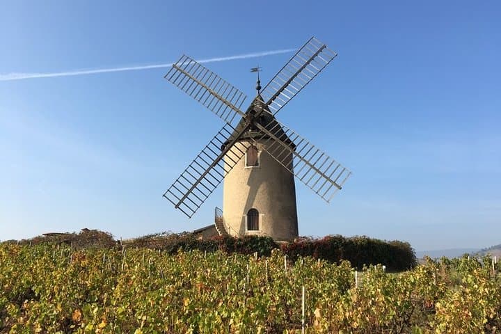 Beaujolais Wines & Castles - Private Tour - Half Day