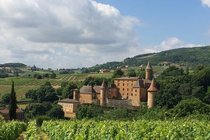 Beaujolais Wine Discovery - Private Tour - Half Day