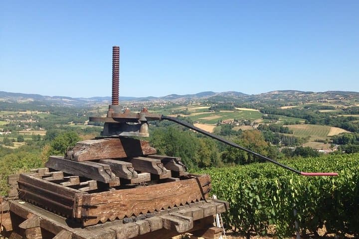 Beaujolais Wine Discovery - Private Tour - Half Day