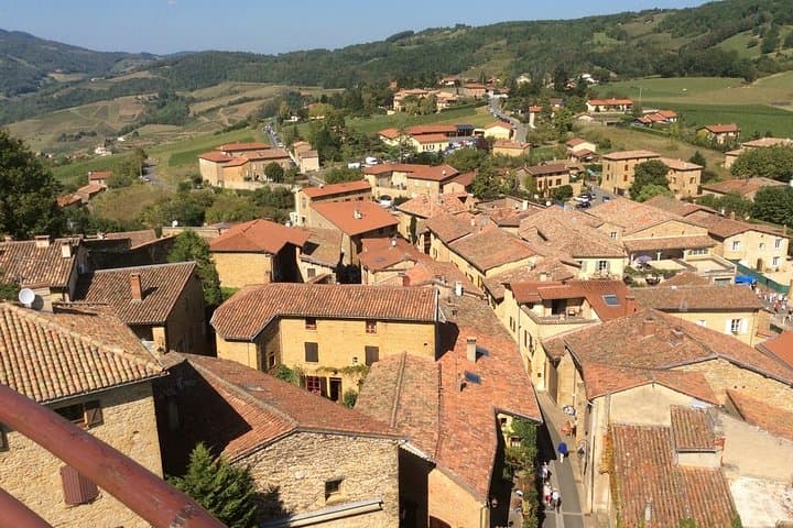 Beaujolais Wine Discovery - Private Tour - Half Day