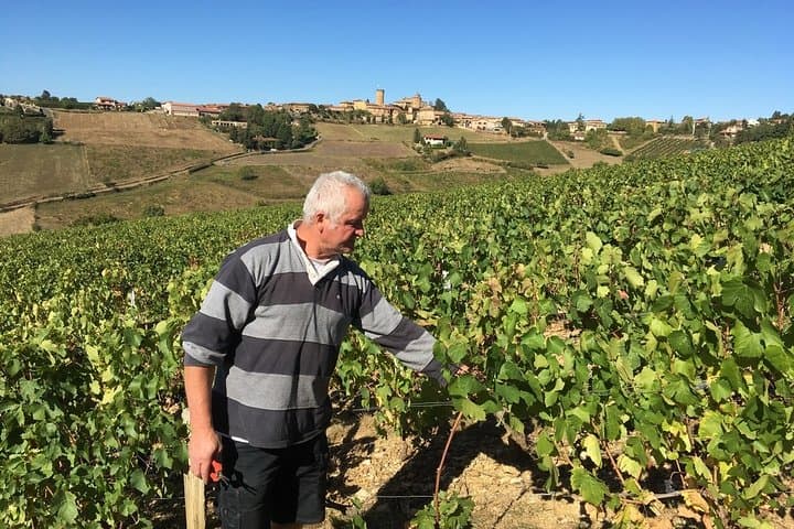 Beaujolais Wine Discovery - Private Tour - Half Day