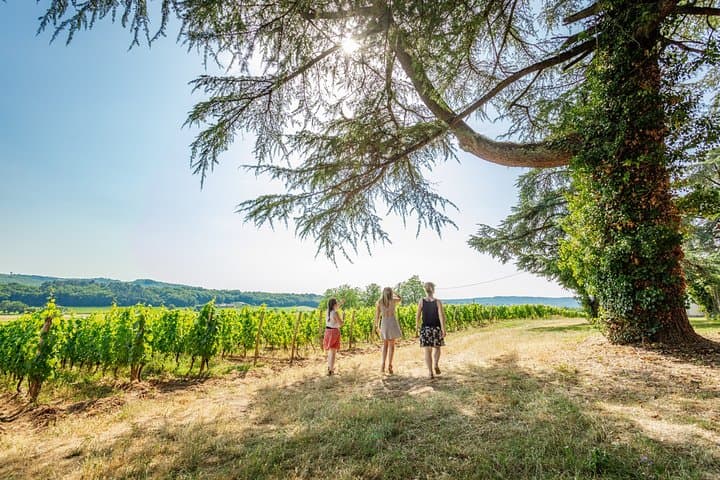 Exceptional visit and tasting of 7 wines