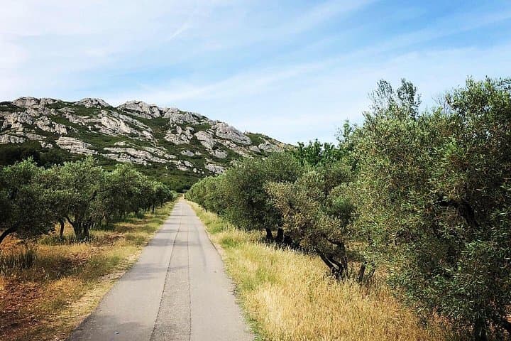 4x4 safari - 4h Alpilles Provence - Departure from Arles