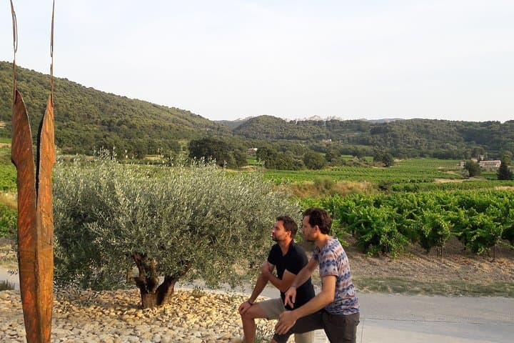 Wine tasting in Sablet