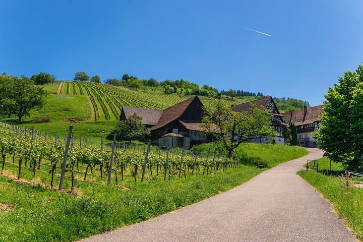 Germany Baden-Baden & Black Forest Private Day Trip from Strasbourg