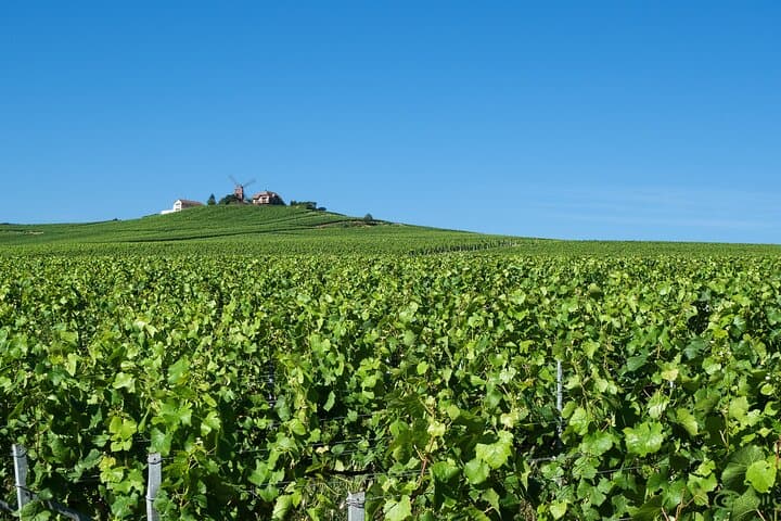 Private Day Trip Tour to Champagne from Paris with a local