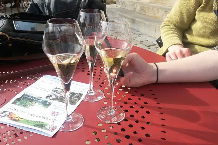Private Day Trip Tour to Champagne from Paris with a local