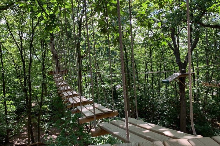 Tree-top adventure at Saint-Germain-en-Laye