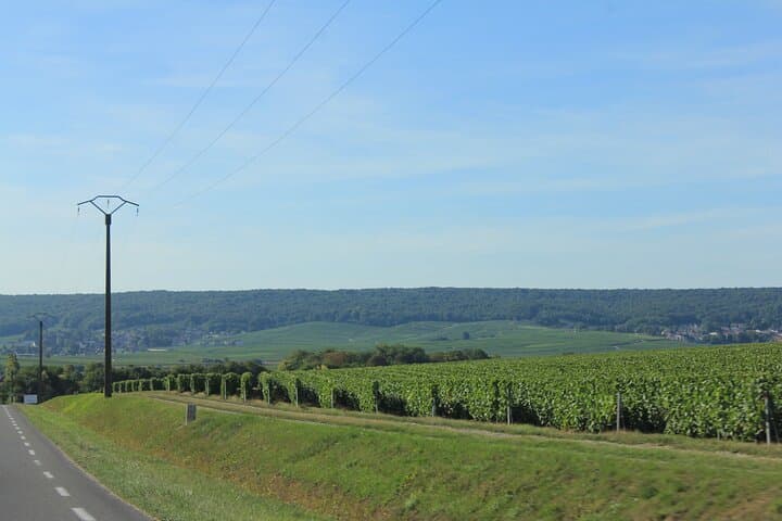 Private Half Day Champagne Tour – 3 Family Vineyard Visits
