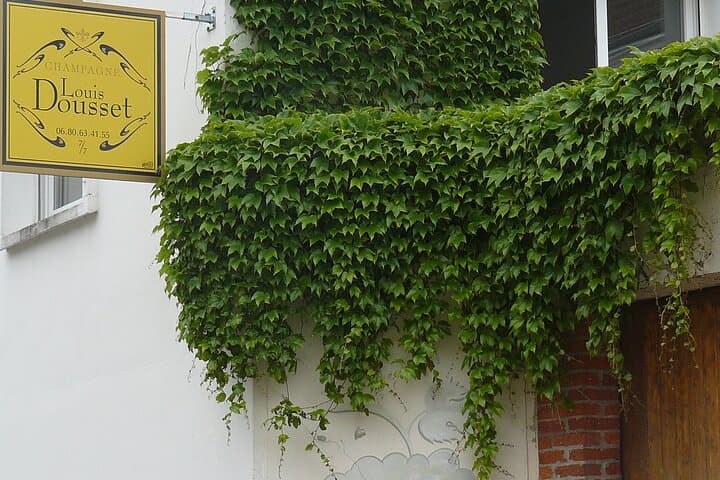 Private Half Day Champagne Tour – 2 Family Vineyard Visits