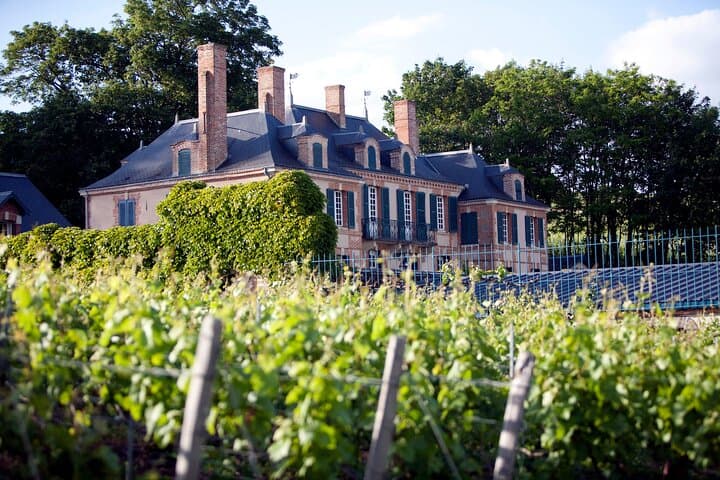 Private Day Trip to Champagne Region with Lunch