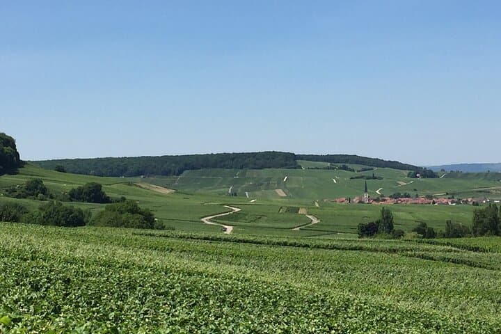 Private Day Trip to Champagne Region with Lunch