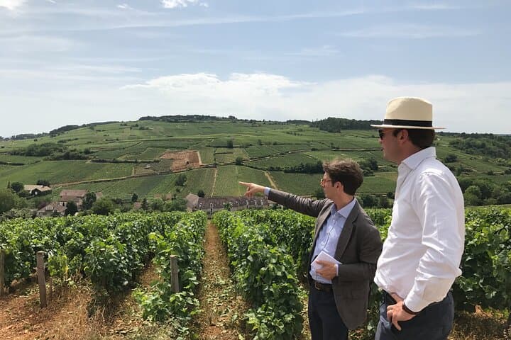 Private full day tour in Burgundy : The Essence of Chablis