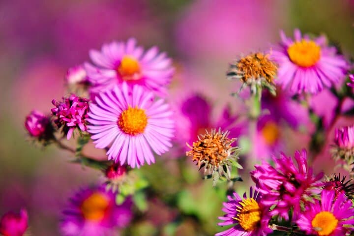 Photo course - Level 2: Light and Colors