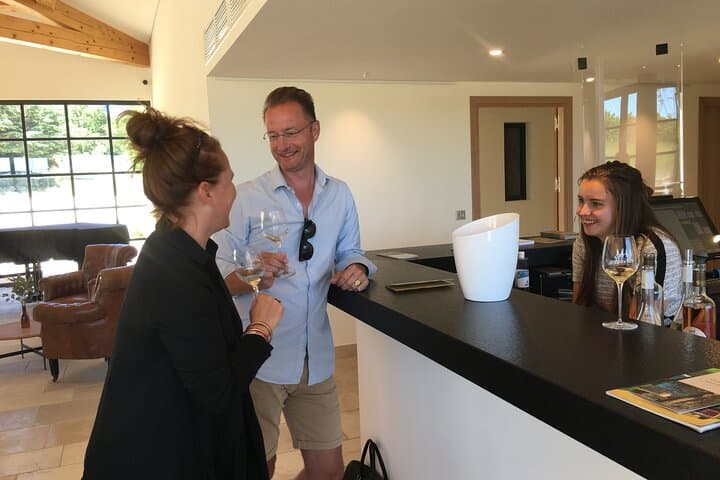 Côtes de Provence Small Group Day Trip with Winery Visits & Tastings from Nice