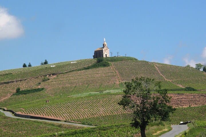 Beaujolais Region Wine Tasting Private Day Tour from Lyon