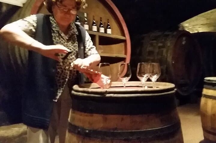 Beaujolais Region Wine Tasting Private Day Tour from Lyon