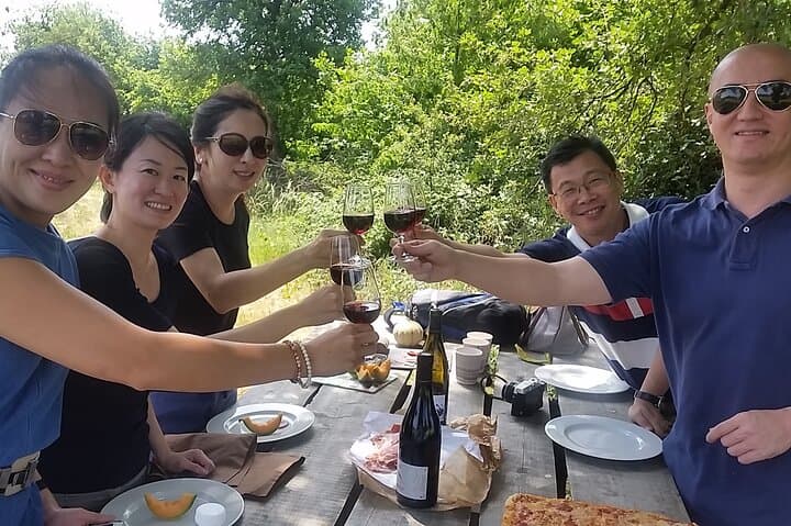 Beaujolais Region Wine Tasting Private Day Tour from Lyon