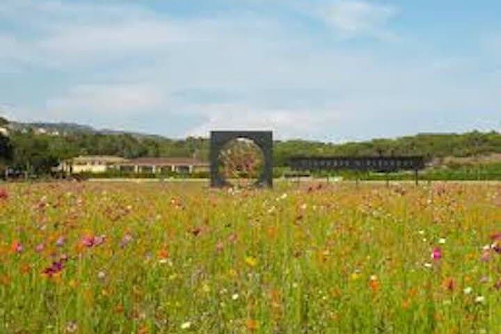 Clos des Roses Wine Tasting and Lunch