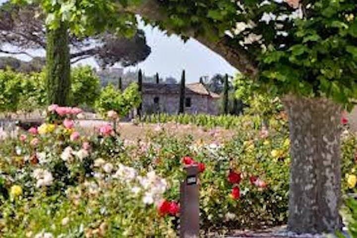 Clos des Roses Wine Tasting and Lunch
