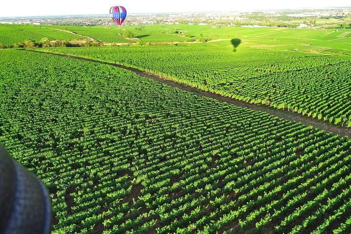 Burgundy Hot-Air Balloon Ride from Beaune