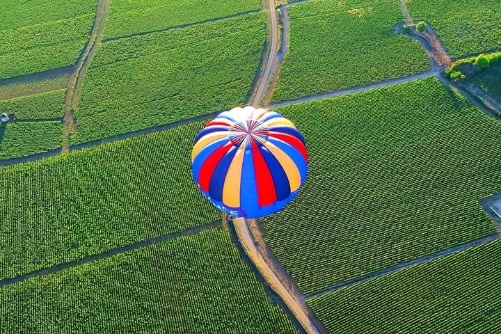 Burgundy Hot-Air Balloon Ride from Beaune