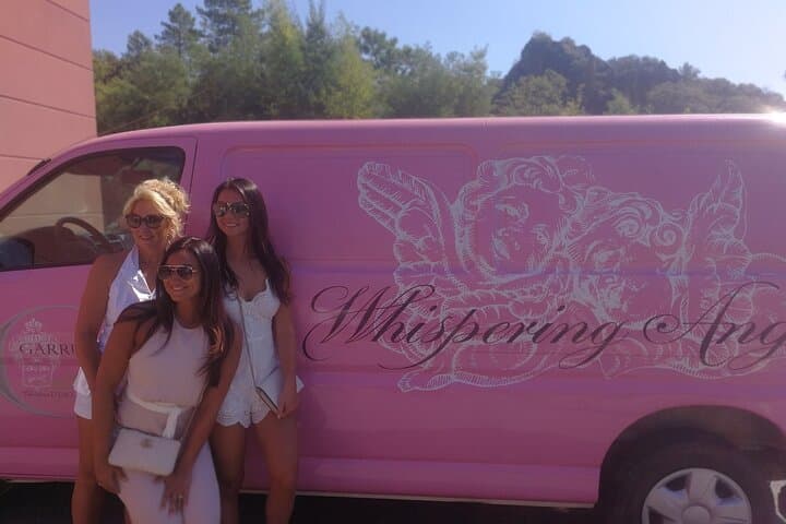 Côtes de Provence Wine Day Tour : 7 hours