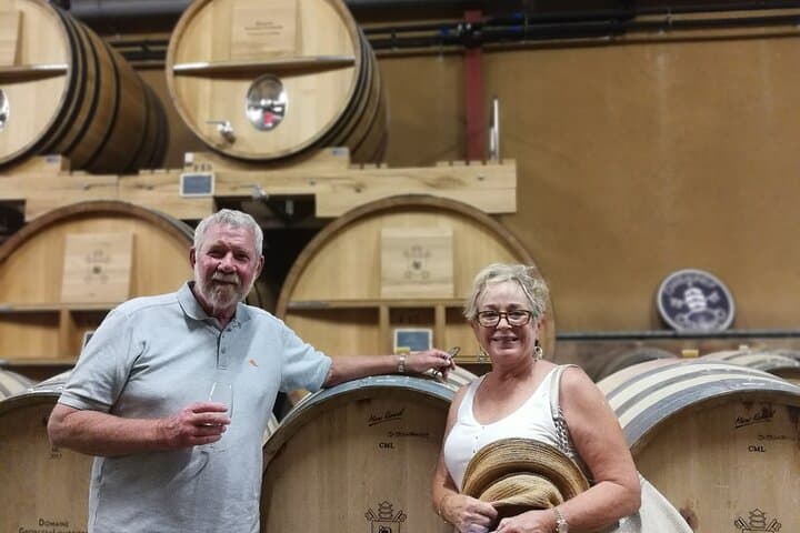 Côtes de Provence Wine Day Tour : 7 hours