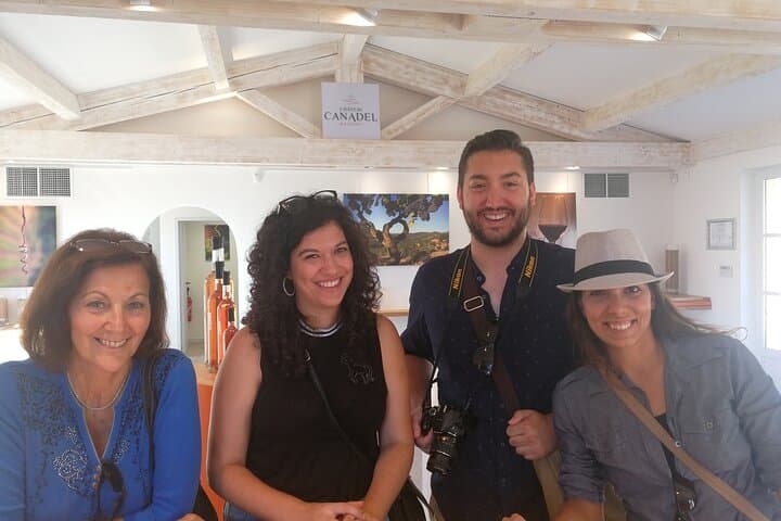 Côtes de Provence Wine Day Tour : 7 hours
