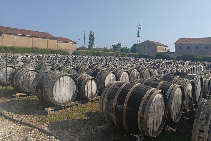 Les Baux de Provence : Wine day Tour : 7 hours
