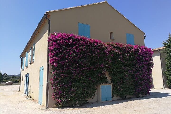 St Tropez and around - 7hours
