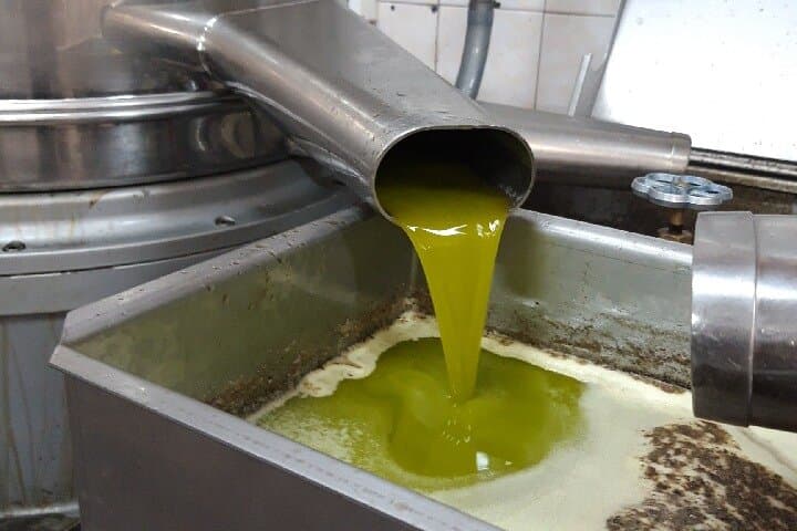Discovering olive oil from Antiquity to the present day!