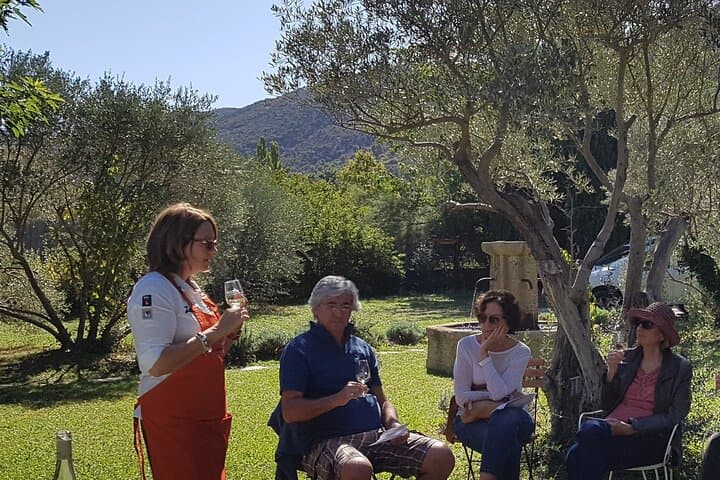 Wine tasting in the middle of olive trees
